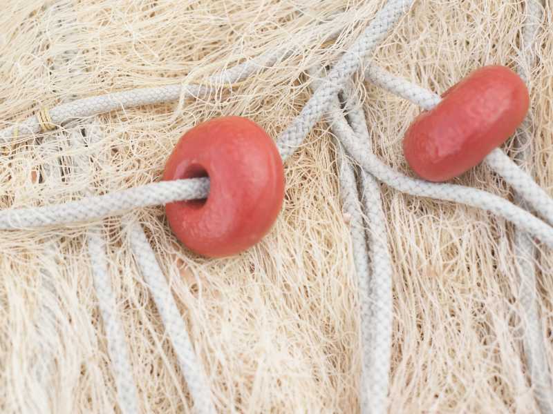 Rast Net System Rast Net System