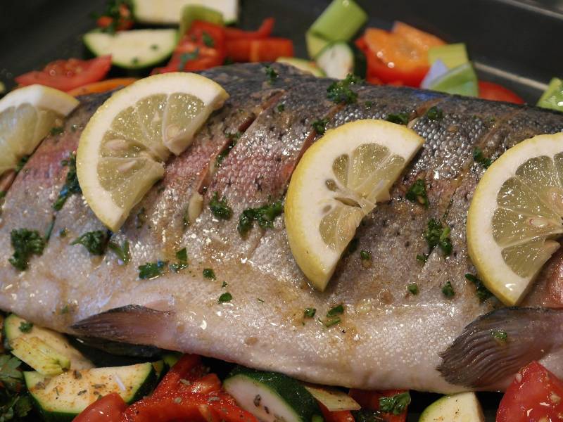 Trout RAST Aquaculture